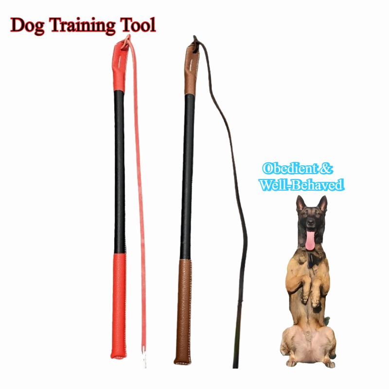 Leatherwork Training - Leather Crack Whip - Dog Training