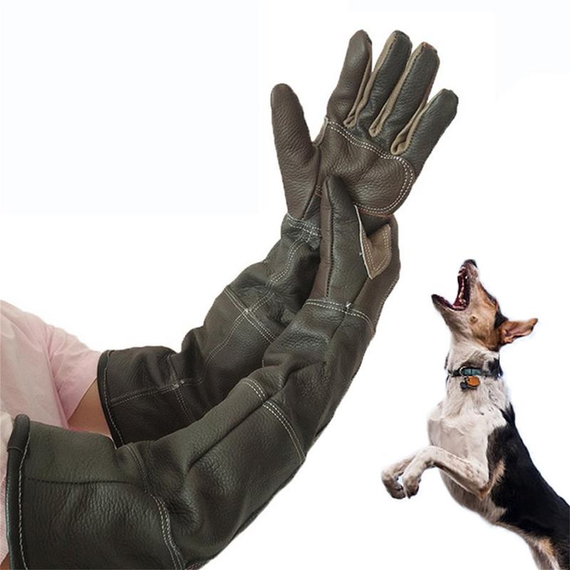 Leatherwork Training - Pet Gloves Cowhide Leather Anti-grasping Anti