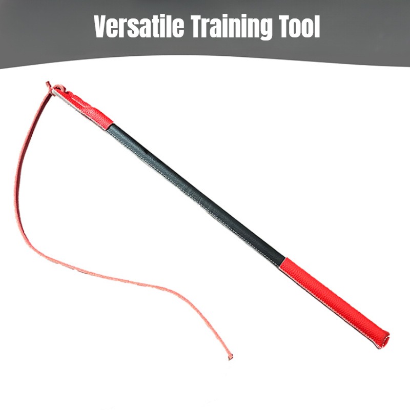 Leather Crack Whip - Dog Train - Leatherwork Training recension och pris