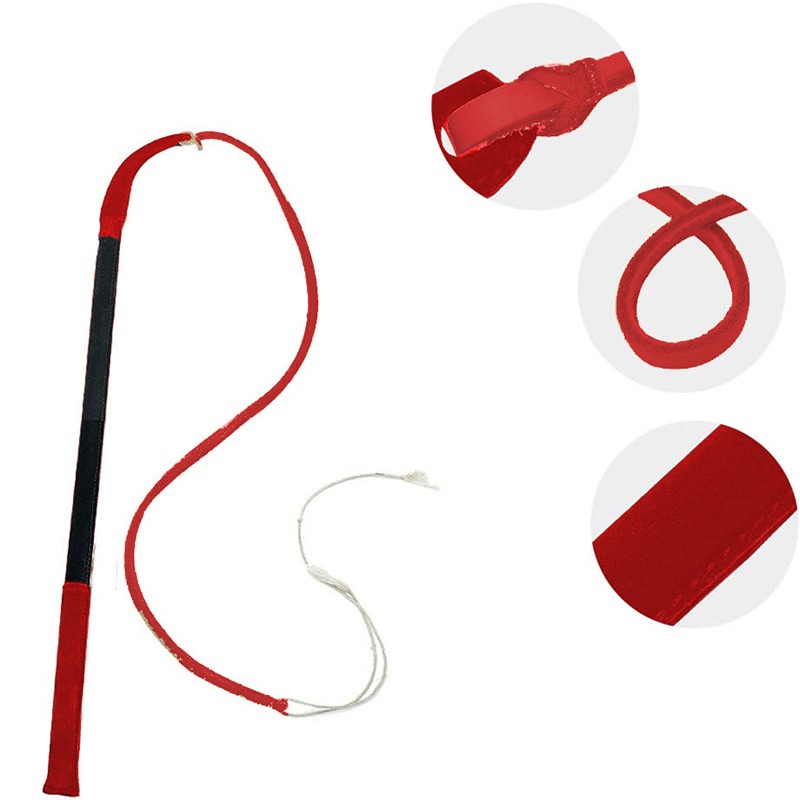 Leather Crack Whip - Dog Train - Leatherwork Training recension och pris