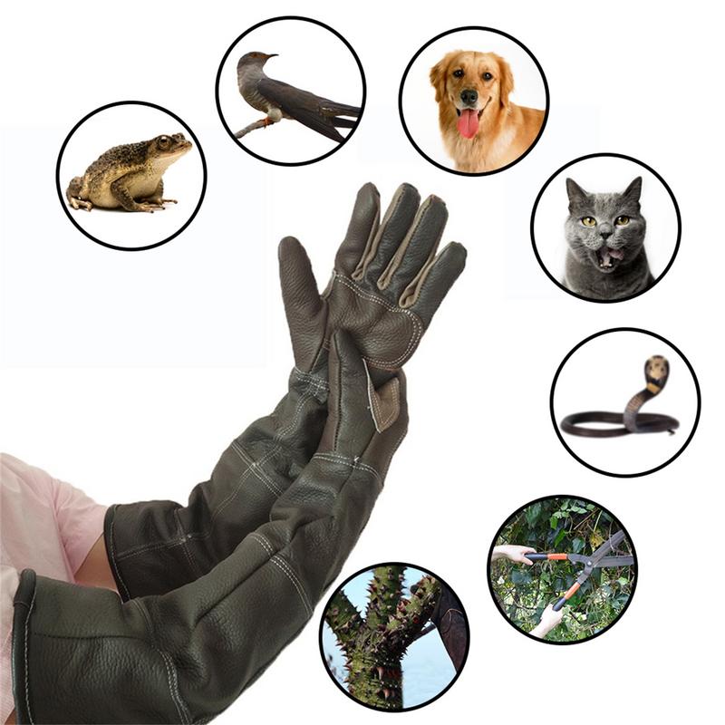Pet Gloves Cowhide Leather Ant - Leatherwork Training recension och pris